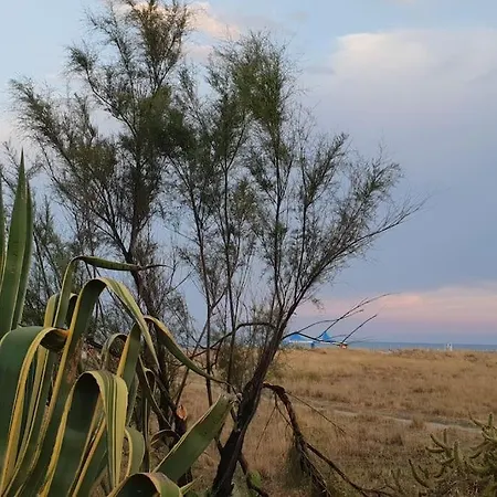 Apartamento Ideal Pour Decouvrir Le Sud D'italie