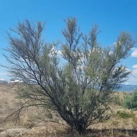 Ideal Pour Decouvrir Le Sud D'italie *