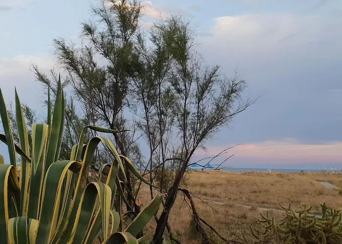 Apartment Ideal Pour Decouvrir Le Sud D'italie