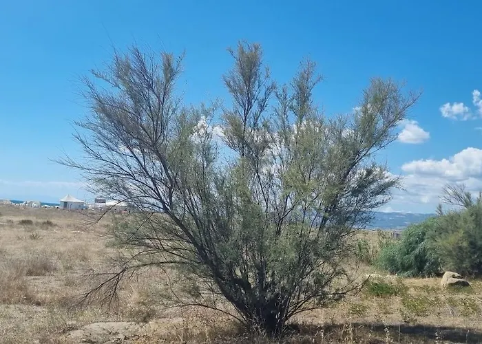 Ideal Pour Decouvrir Le Sud D'italie *